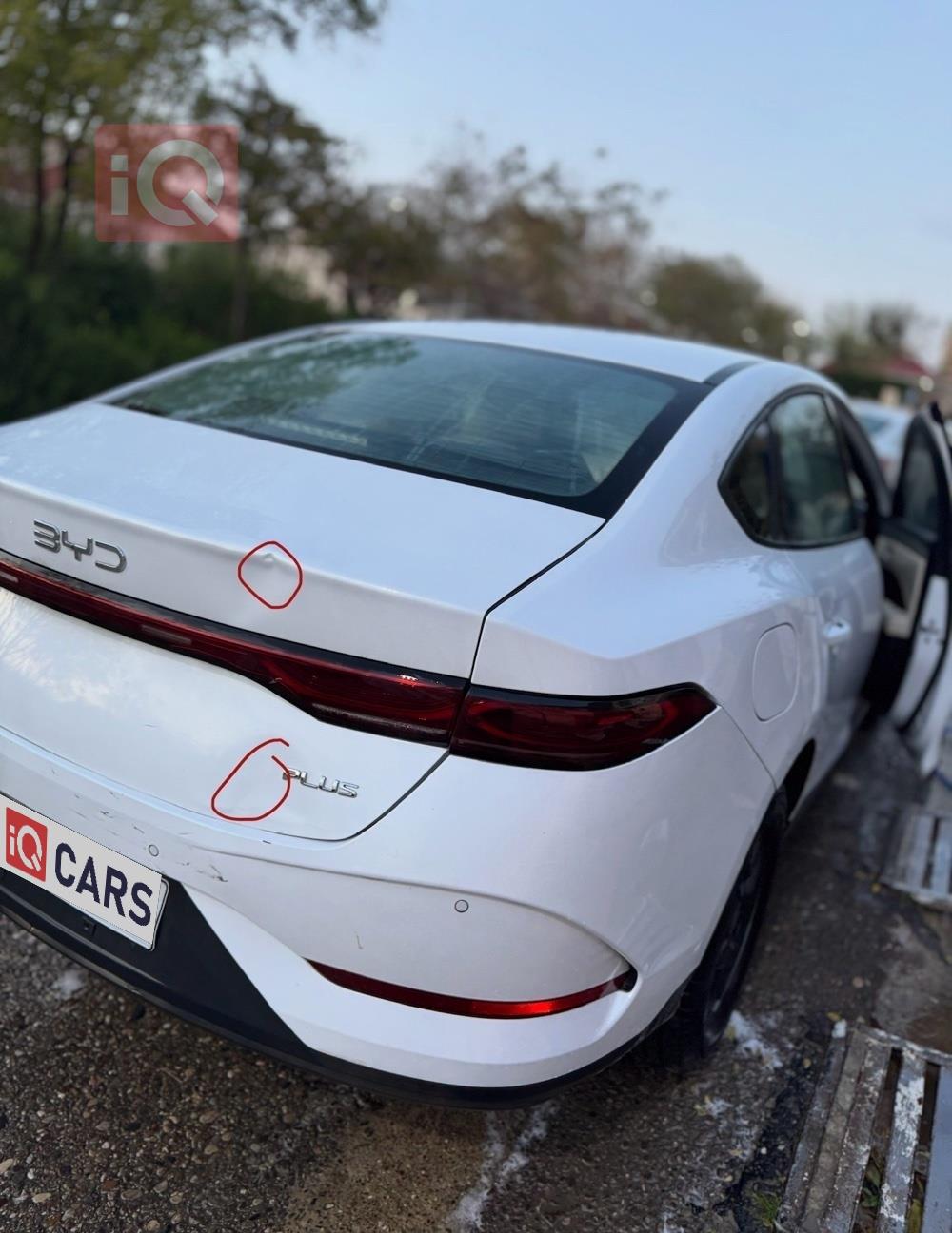 بي واي دي Qin Plus